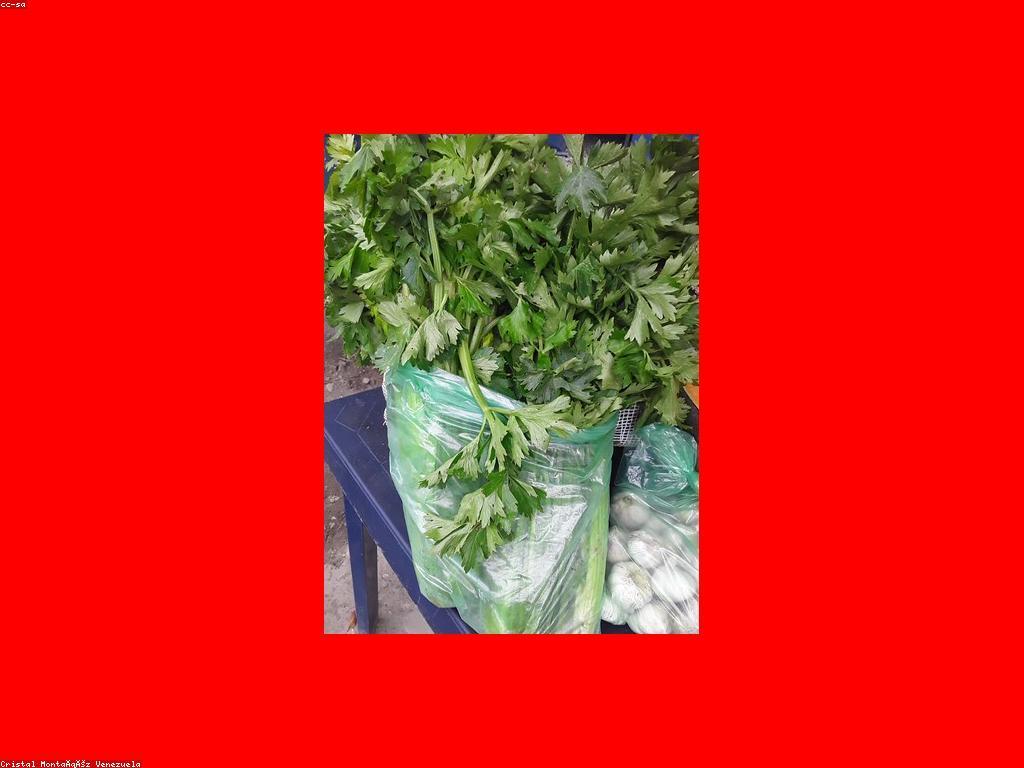 កម្មវិធីសង្ឃឹមសម្រាប់អនាគត